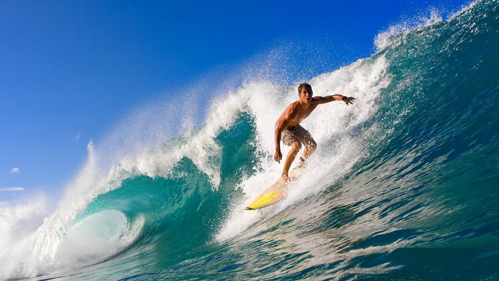 开云官方-中国女篮用拼搏书写新时代荣光，中国女篮拼搏观后感